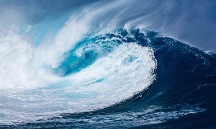 Palabras de mar (por Ibón De la Cruz)