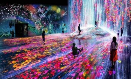 El arte después del ojo: difuminar los bordes de la mirada, (por Esther Roso)